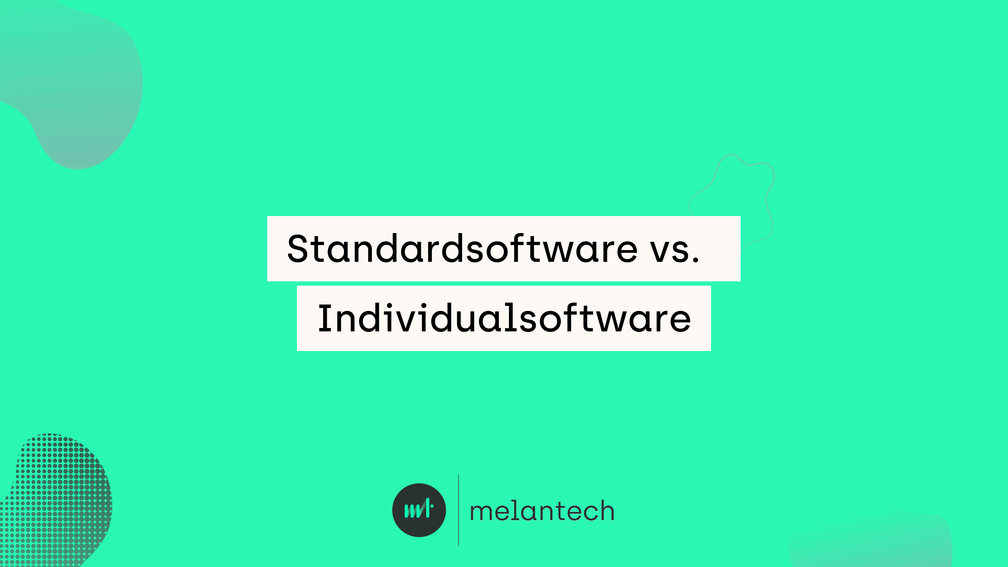 Banner Blogbeitrag Standard vs Indivualsoftware