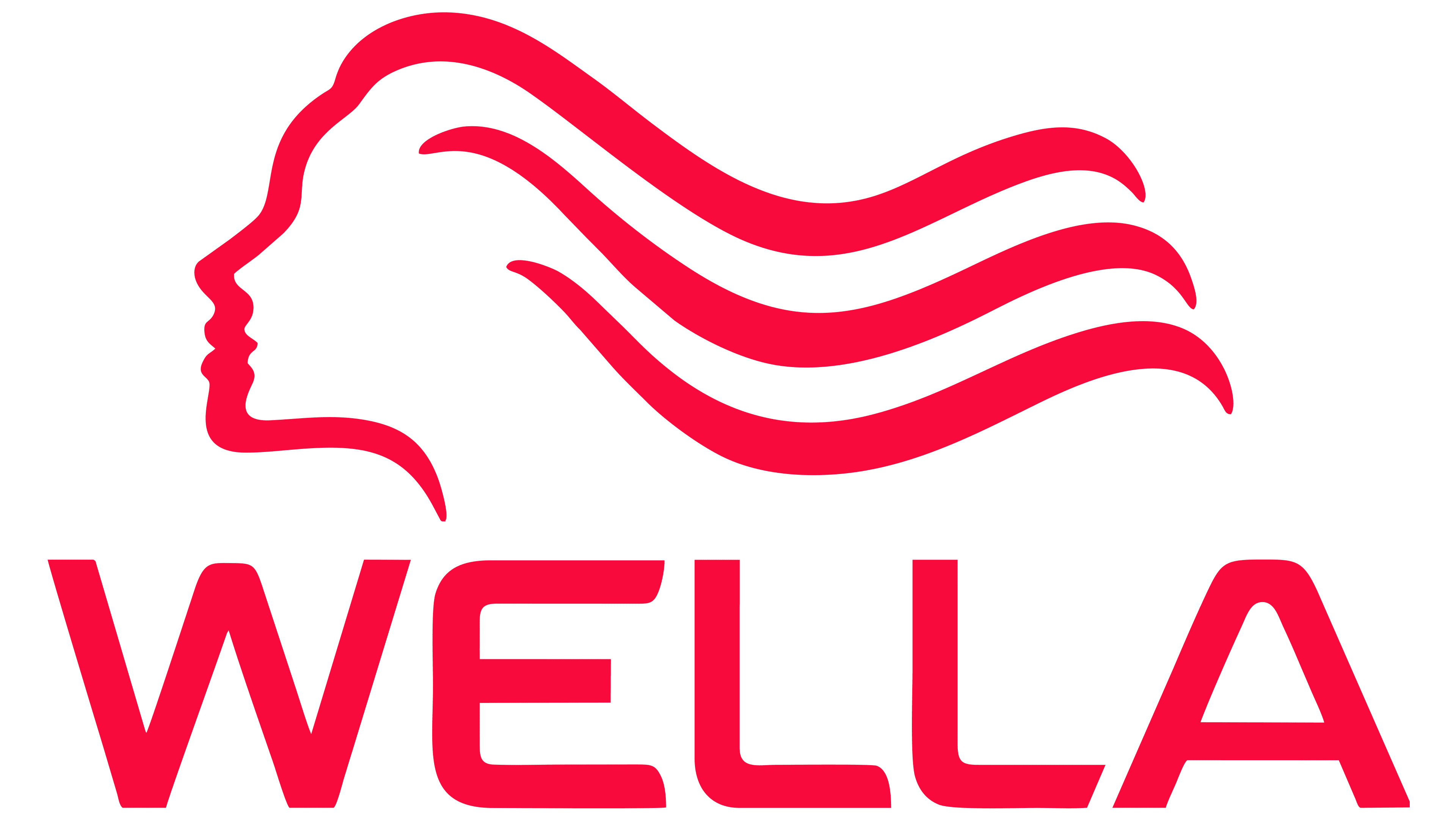 Customer Logo: Wella